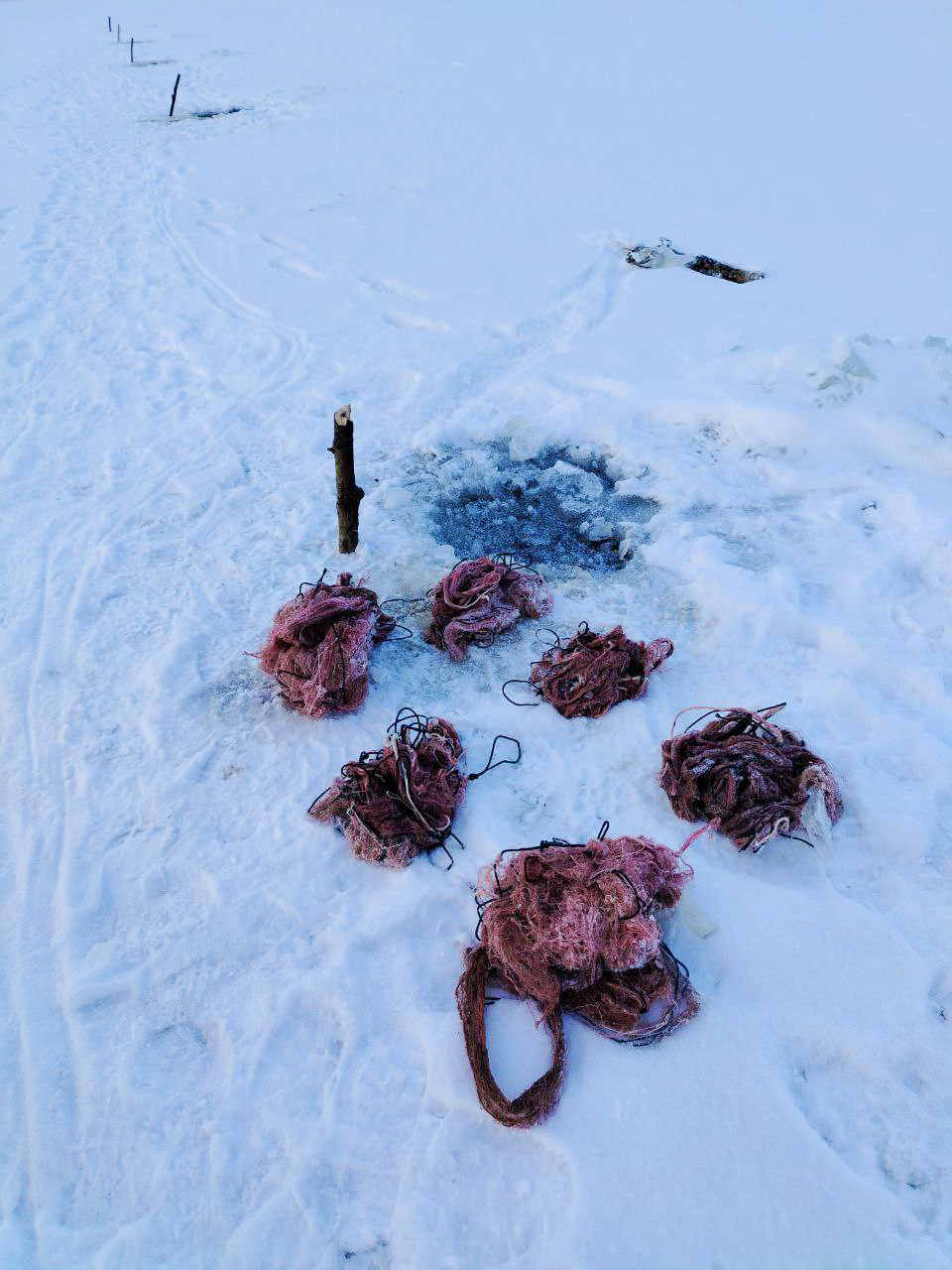 За неделю инспекторами рыбоохраны Нижнеобского ТУ Росрыболовства проведено более 80 патрулирований