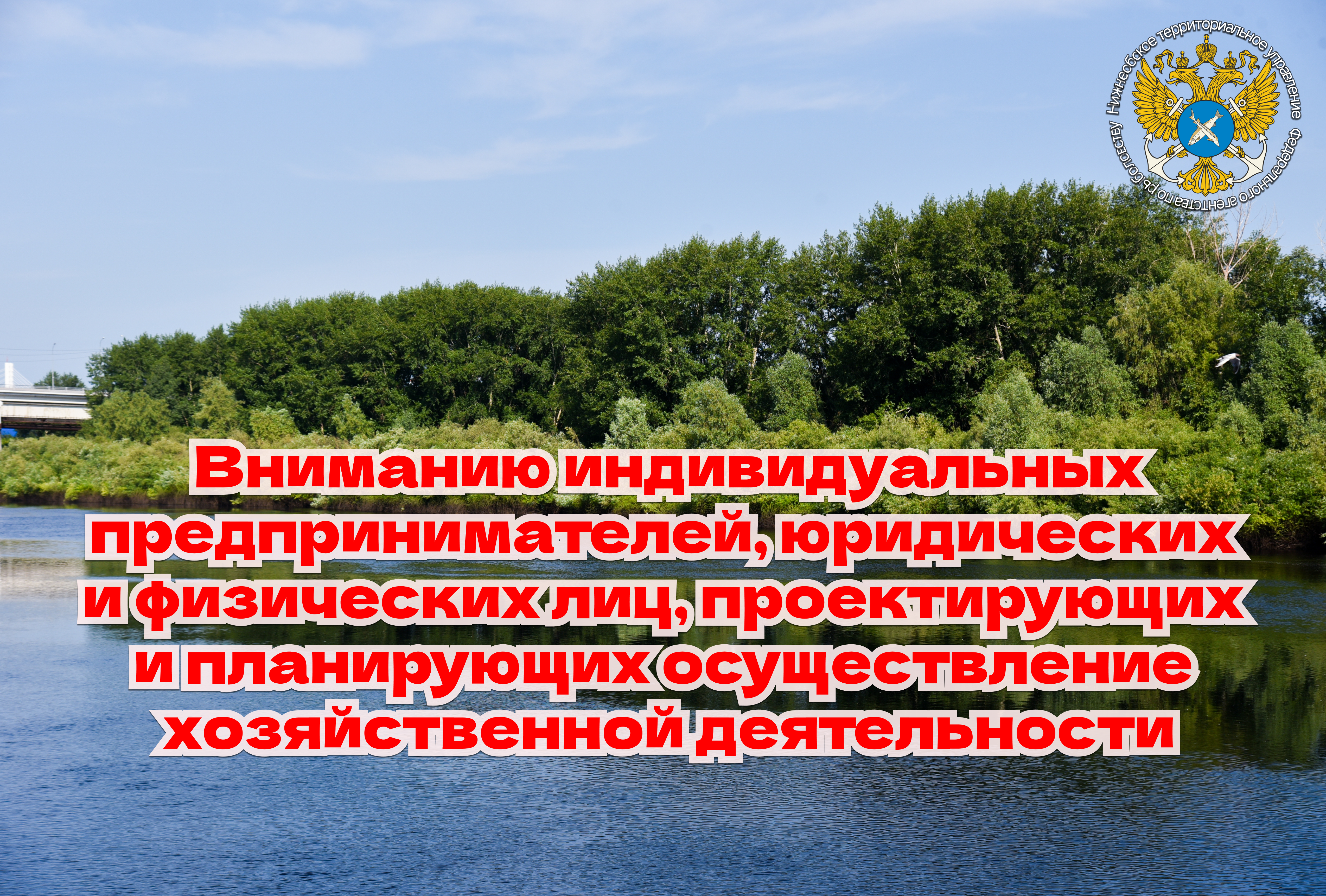 Внимание!