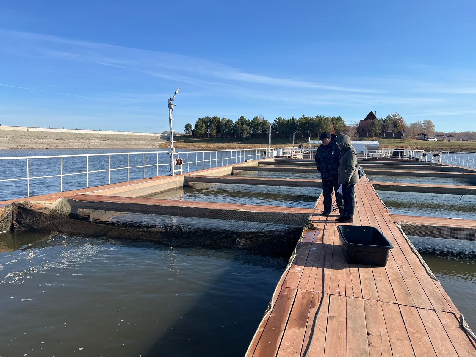 В Курганской области оценили состояние обского осетра перед зимовкой