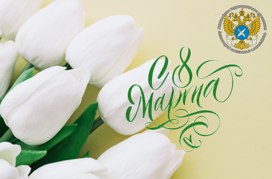 Милые дамы!