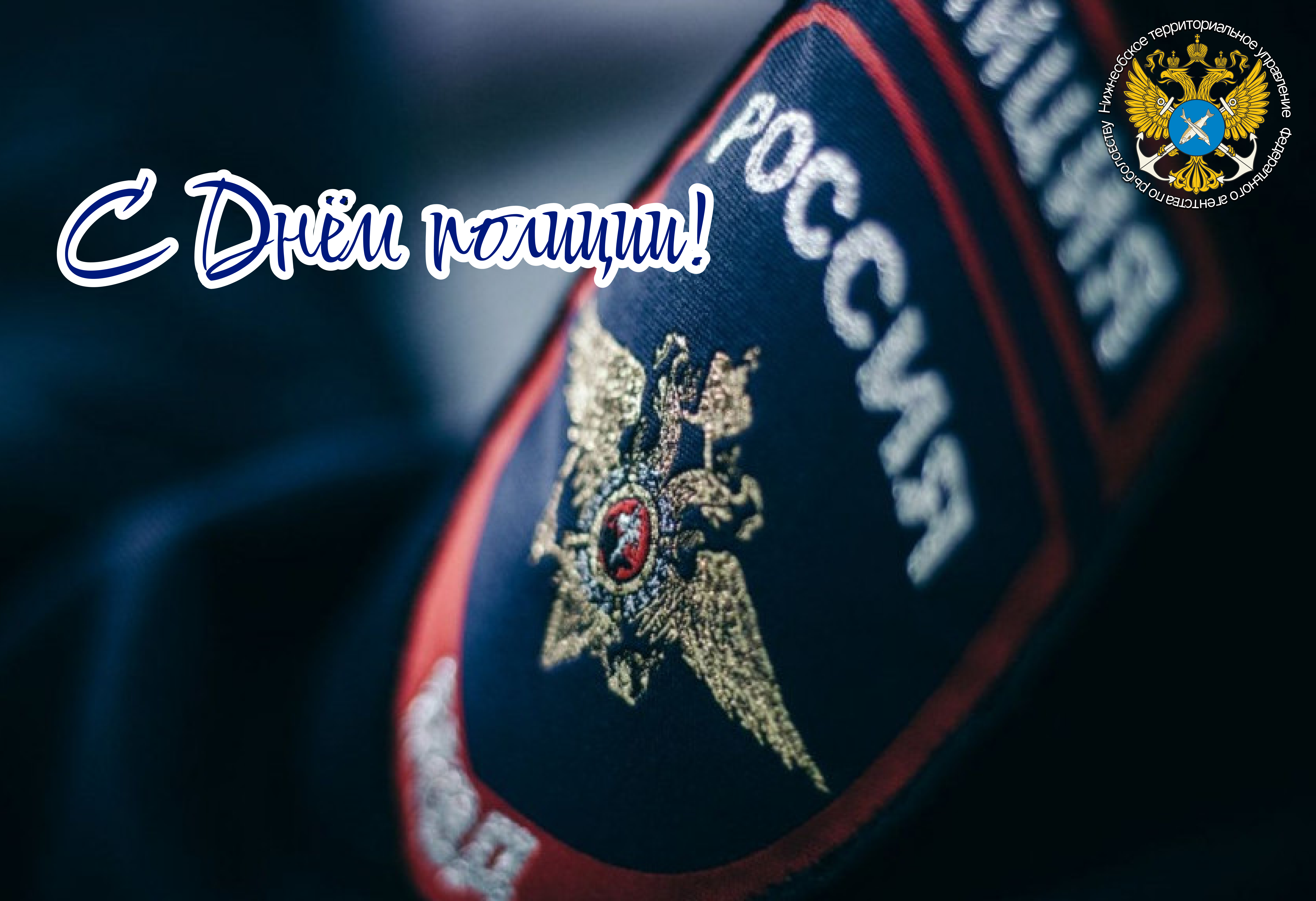С Днём сотрудника органов внутренних дел Российской Федерации!