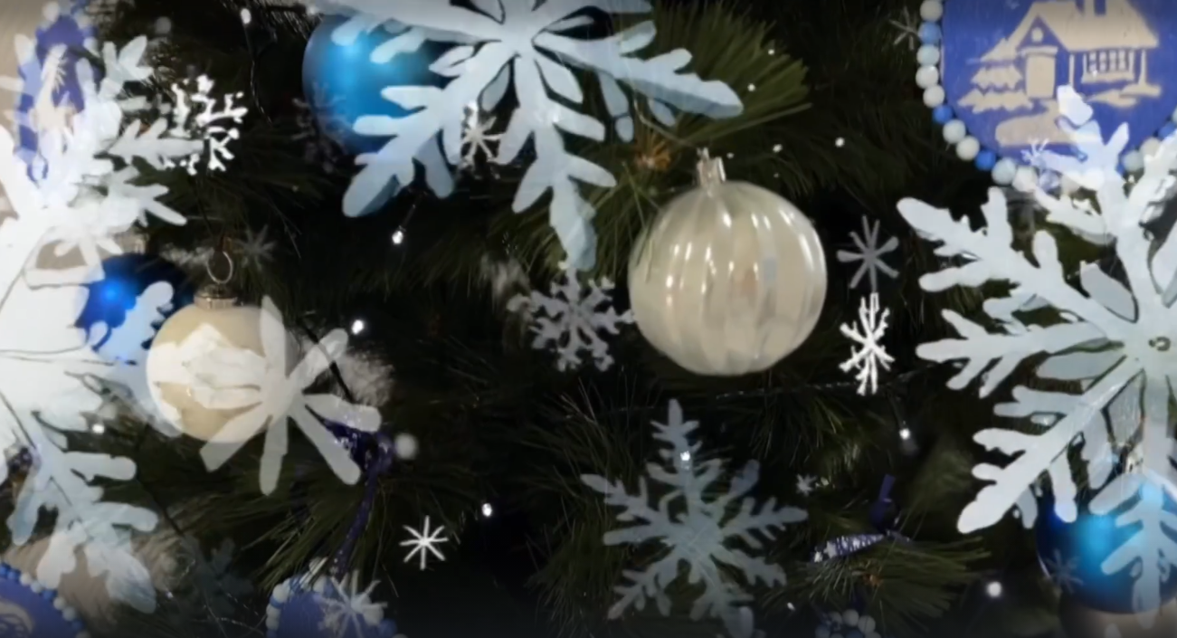 Ёлка желаний в Росрыболовстве: исполняем мечты!