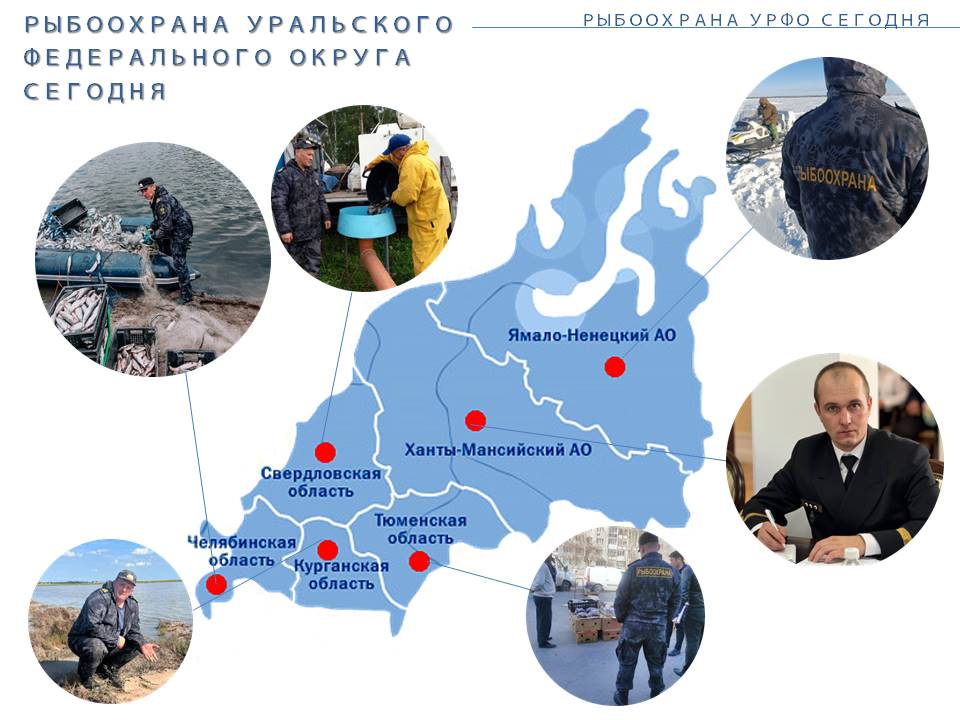 Путеводитель новичка.jpg