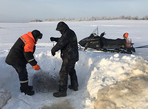 За неделю инспекторами рыбоохраны Нижнеобского ТУ Росрыболовства проведено более 50 патрулирований