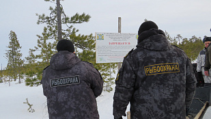 Особо охраняемые природные территории Югры под контролем