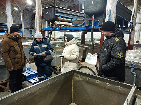 В Тюменской области проведена проверка производственных мощностей рыбоводных хозяйств