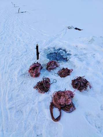 За неделю инспекторами рыбоохраны Нижнеобского ТУ Росрыболовства проведено более 80 патрулирований