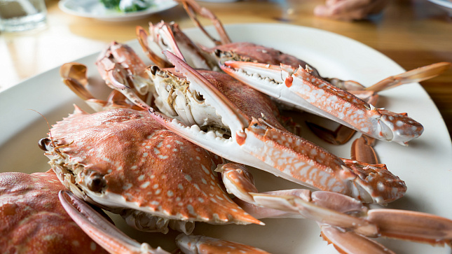 Нижнеобское ТУ Росрыболовства информирует!