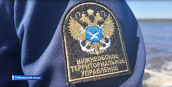 О причинах массового замора рыбы в Тюменской области