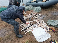 За неделю инспекторами рыбоохраны Нижнеобского ТУ Росрыболовства проведено более 70 патрулирований
