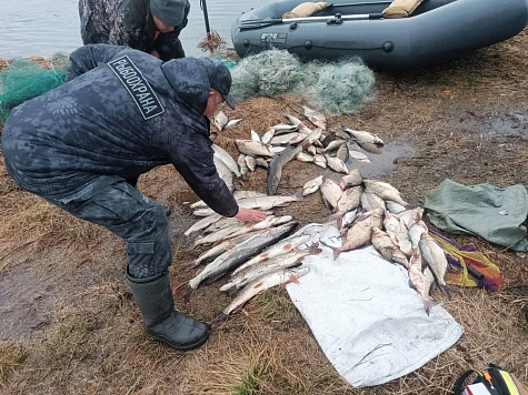 За неделю инспекторами рыбоохраны Нижнеобского ТУ Росрыболовства проведено более 70 патрулирований