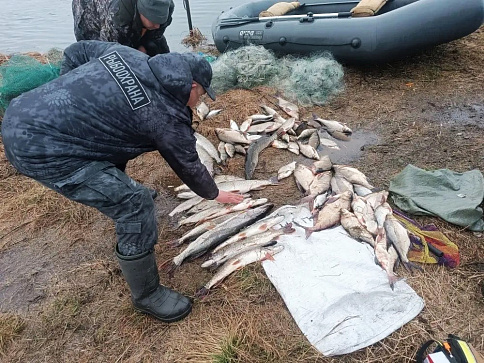 За неделю инспекторами рыбоохраны Нижнеобского ТУ Росрыболовства проведено более 70 патрулирований