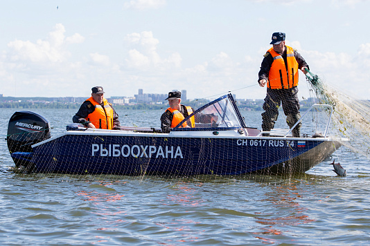 ВНИМАНИЕ! На территории Челябинской области начался нерест рыбы