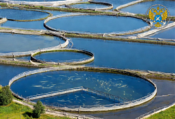 Платформа «Своё Фермерство» дает начинающим рыбоводам возможности для успешной работы в аквакультуре