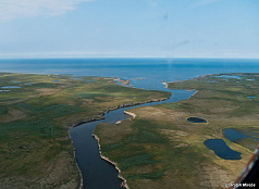  О достижении 100 % объема добычи (вылова) пеляди в Тазовской губе Карского моря в 2026 году