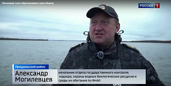 Битва за белорыбицу: как рыбоохрана Ямала борется с браконьерским промыслом Битва за белорыбицу: как рыбоохрана Ямала борется с браконьерским промыслом