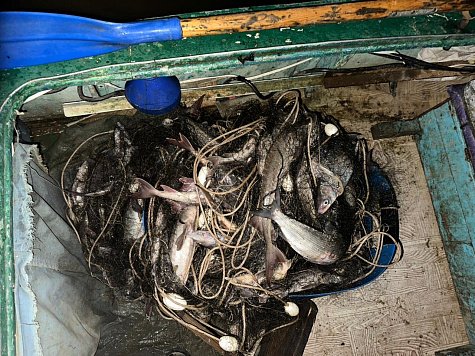 Разорительный улов: житель Югры лишился лодки и возместит ущерб в 18 миллионов рублей