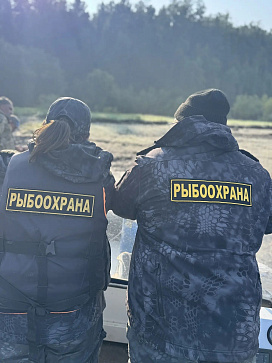 За неделю инспекторами рыбоохраны Нижнеобского ТУ Росрыболовства выявлено более 30 нарушений