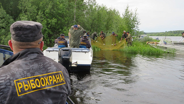 Внимание! Ограничение рыболовства на реке Северная Сосьва!