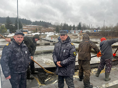 Весенняя бонитировка состоялась на Козинском водохранилище в Свердловской области