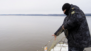 За неделю инспекторами рыбоохраны Нижнеобского ТУ Росрыболовства проведено более 80 патрулирований