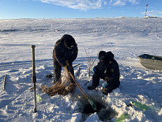 За неделю инспекторами рыбоохраны Нижнеобского ТУ Росрыболовства проведено более 80 выездных обследований
