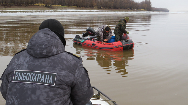 За неделю инспекторами рыбоохраны Нижнеобского ТУ Росрыболовства проведено более 60 патрулирований