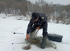 За неделю инспекторами рыбоохраны Нижнеобского ТУ Росрыболовства проведено более 80 патрулирований